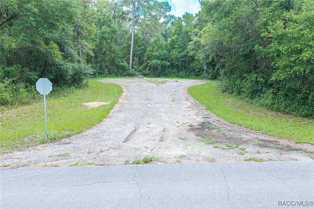 9870 N Sky Point Citrus Springs, FL 34434 - Thumbnail 4