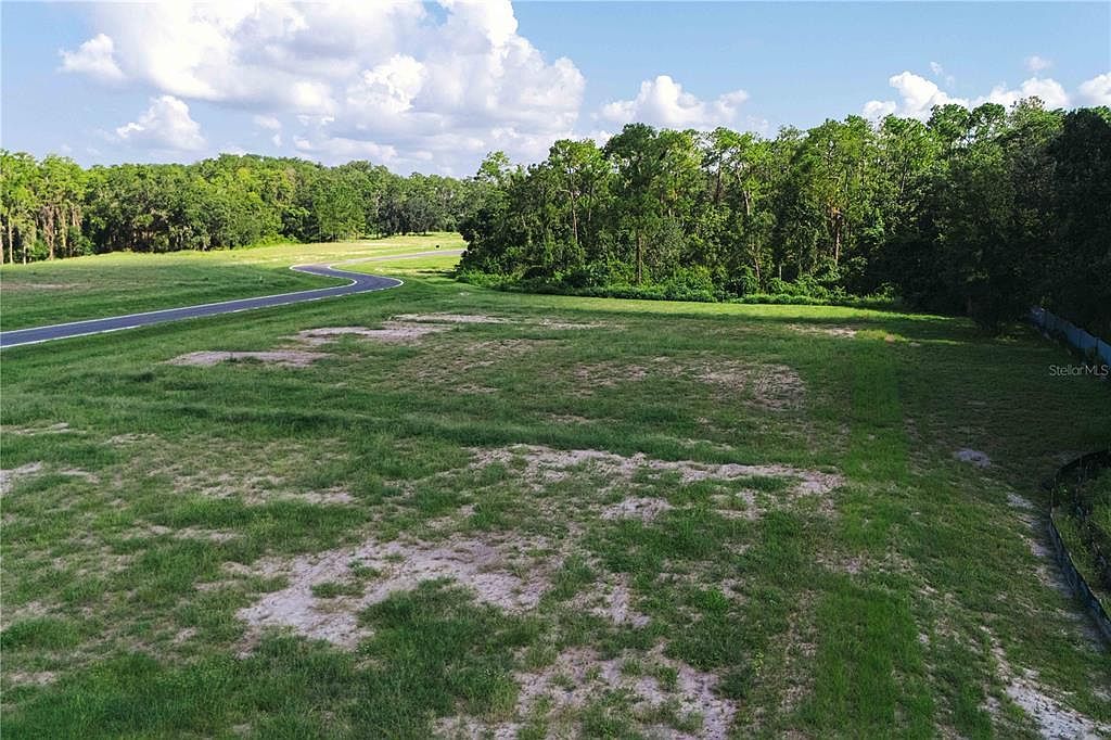 19319 Dimple Dr Lot 8 Odessa, FL 33556 - Thumbnail 4