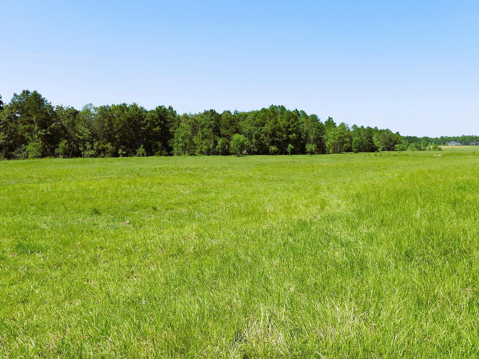 1 Humphrey Rd Vancleave, MS 39565 - Thumbnail 4