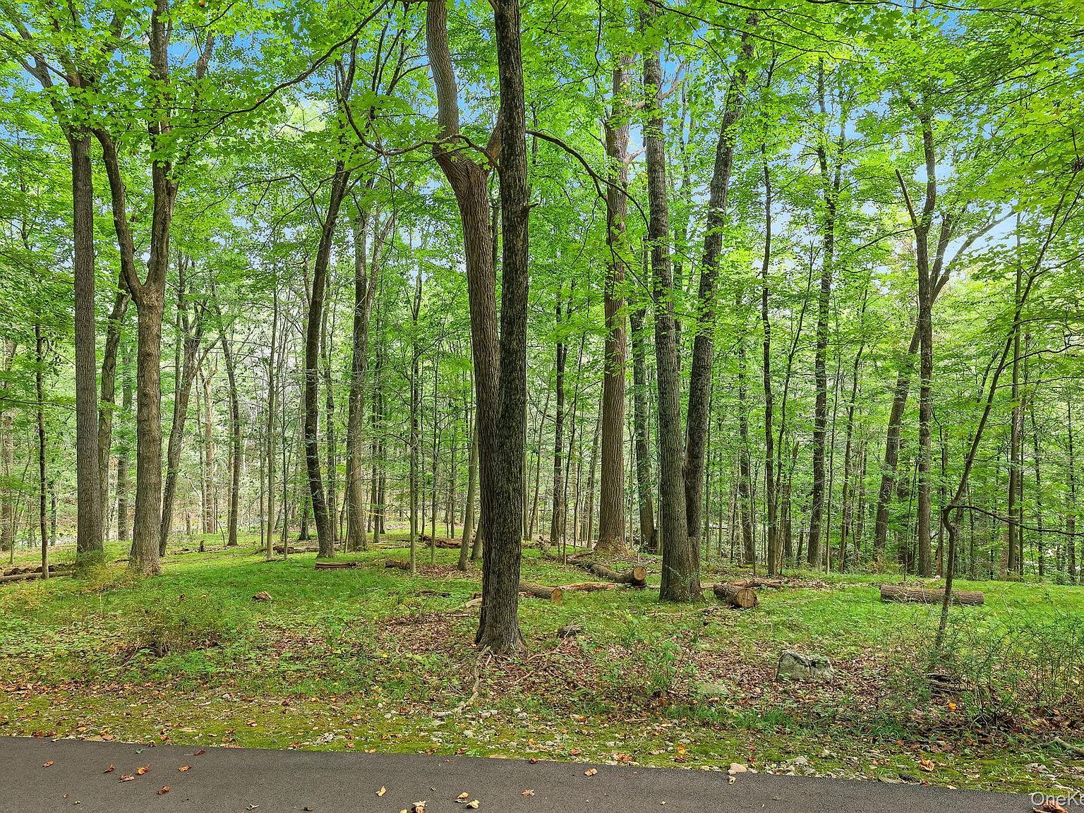 7 Vincent Ln Armonk, NY 10504 - Thumbnail 4