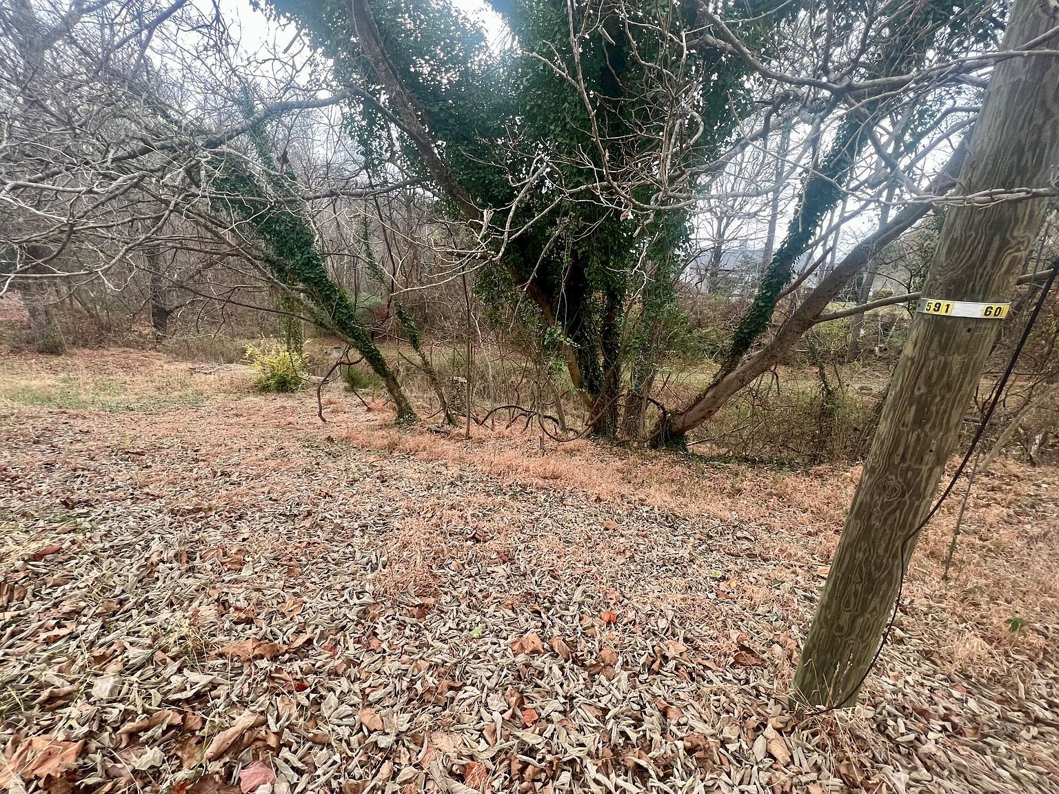 808 S Main St #0 Rocky Mount, VA 24151 - Thumbnail 4