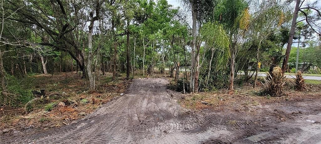 0 N Poinciana Blvd Lot 4 Kissimmee, FL 34746 - Thumbnail 4