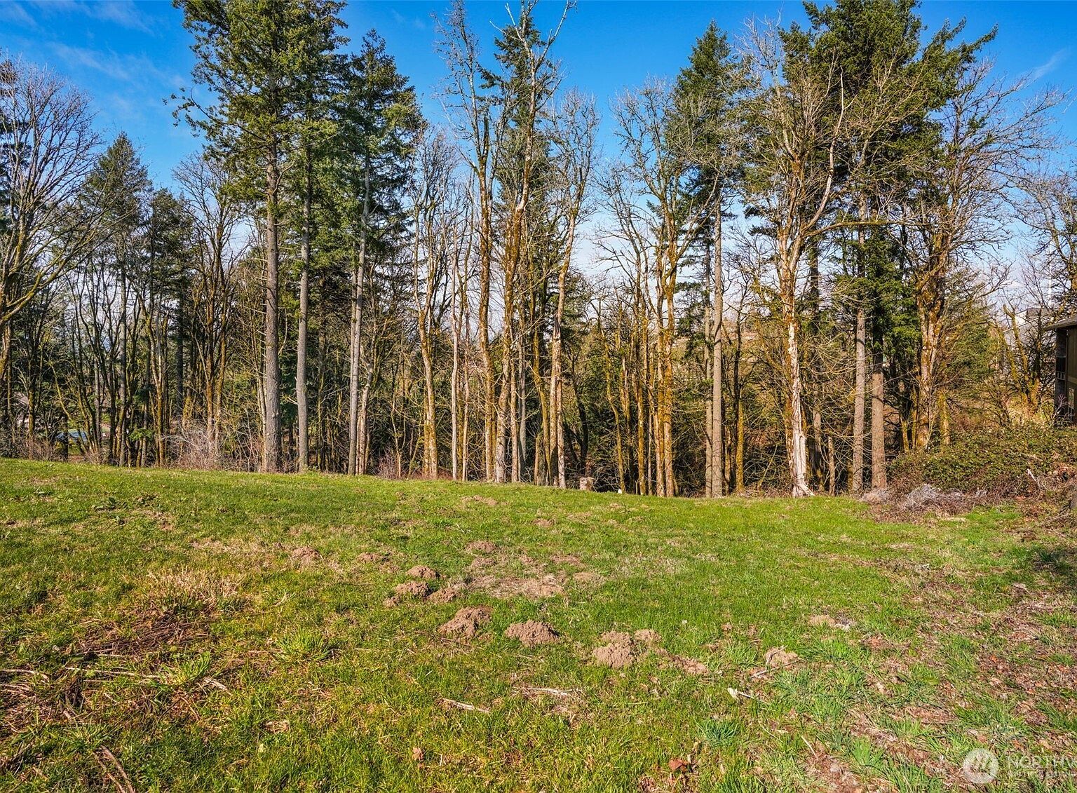 3011 NW 13th Cir Camas, WA 98607 - Thumbnail 4