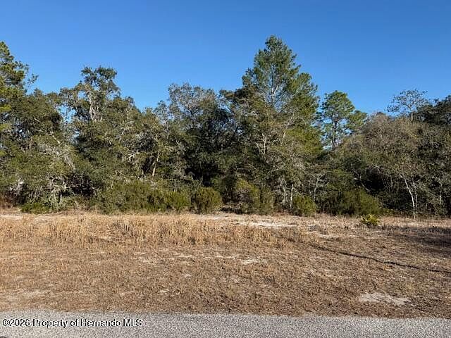 9630 Wilderness Trl Weeki Wachee, FL 34613 - Thumbnail 4