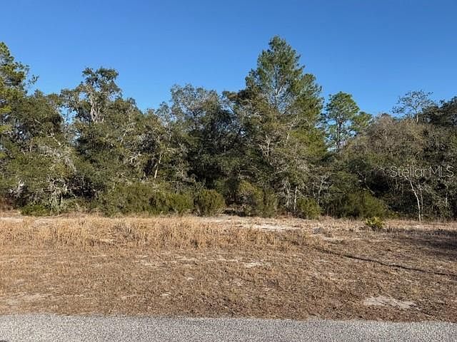 9630 Wilderness Trl Lot 17-18 Brooksville, FL 34613 - Thumbnail 4