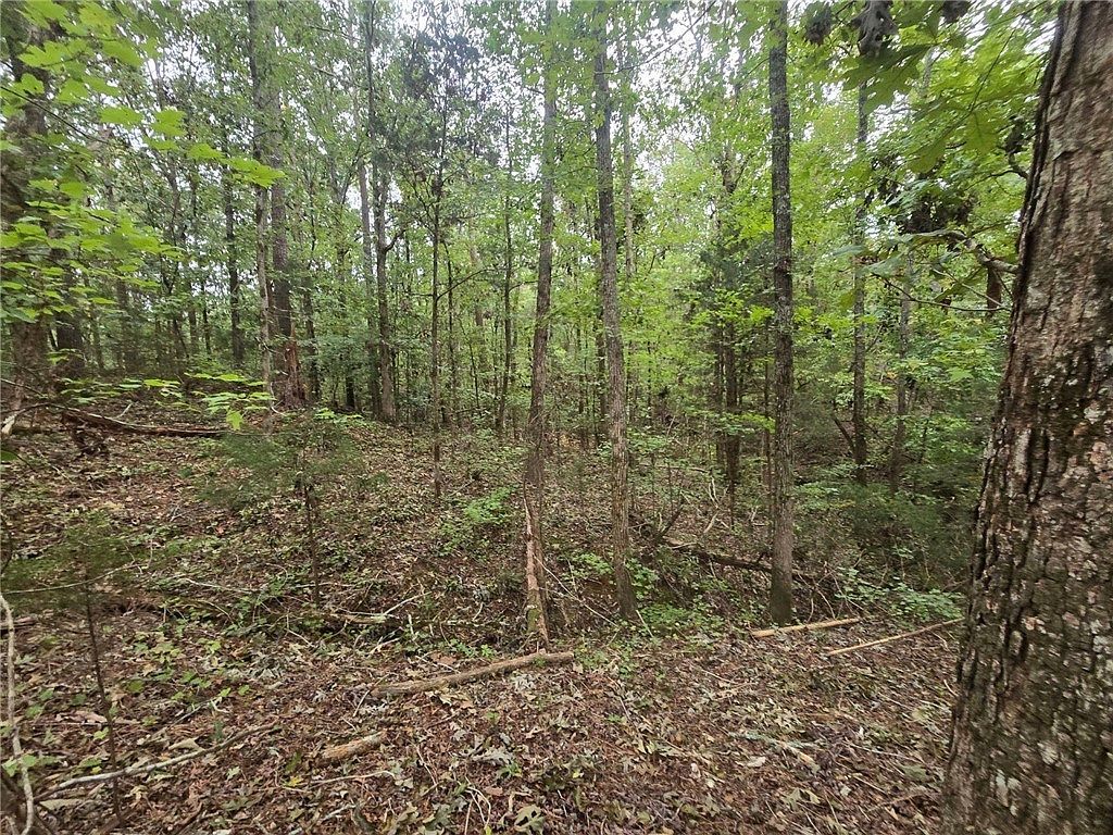 1206 Cheeks Cir Gray Court, SC 29645 - Thumbnail 4