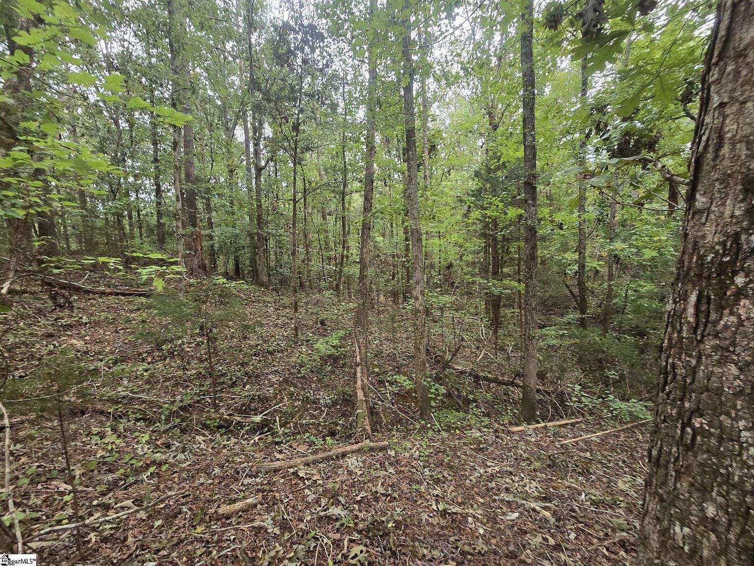 1206 Cheek Rd Gray Court, SC 29645 - Thumbnail 4