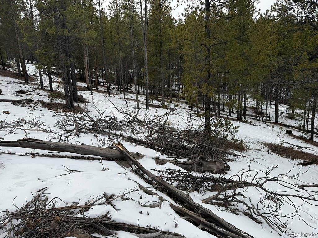 124 Lodge Pole Dr Twin Lakes, CO 81251 - Thumbnail 4