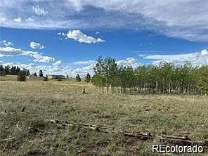 1599 Campfire Rd Lot 707 Hartsel, CO 80449 - Thumbnail 4
