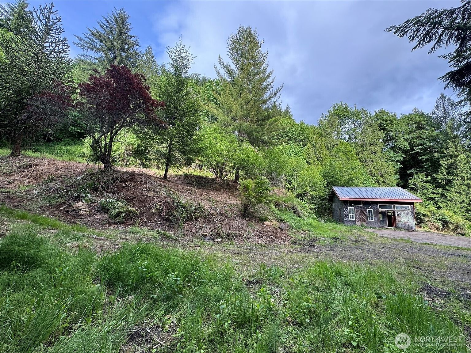 5532 Lewis River Rd Ariel, WA 98603 - Thumbnail 4