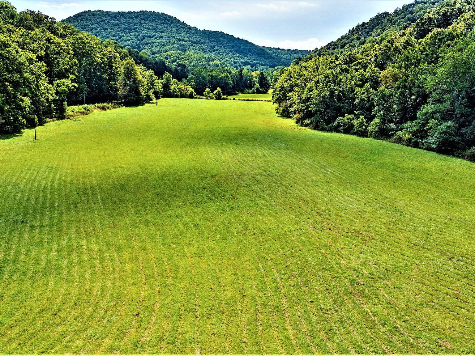 8079 Wayside Creamery Rd Alderson, WV 24910 - Thumbnail 4