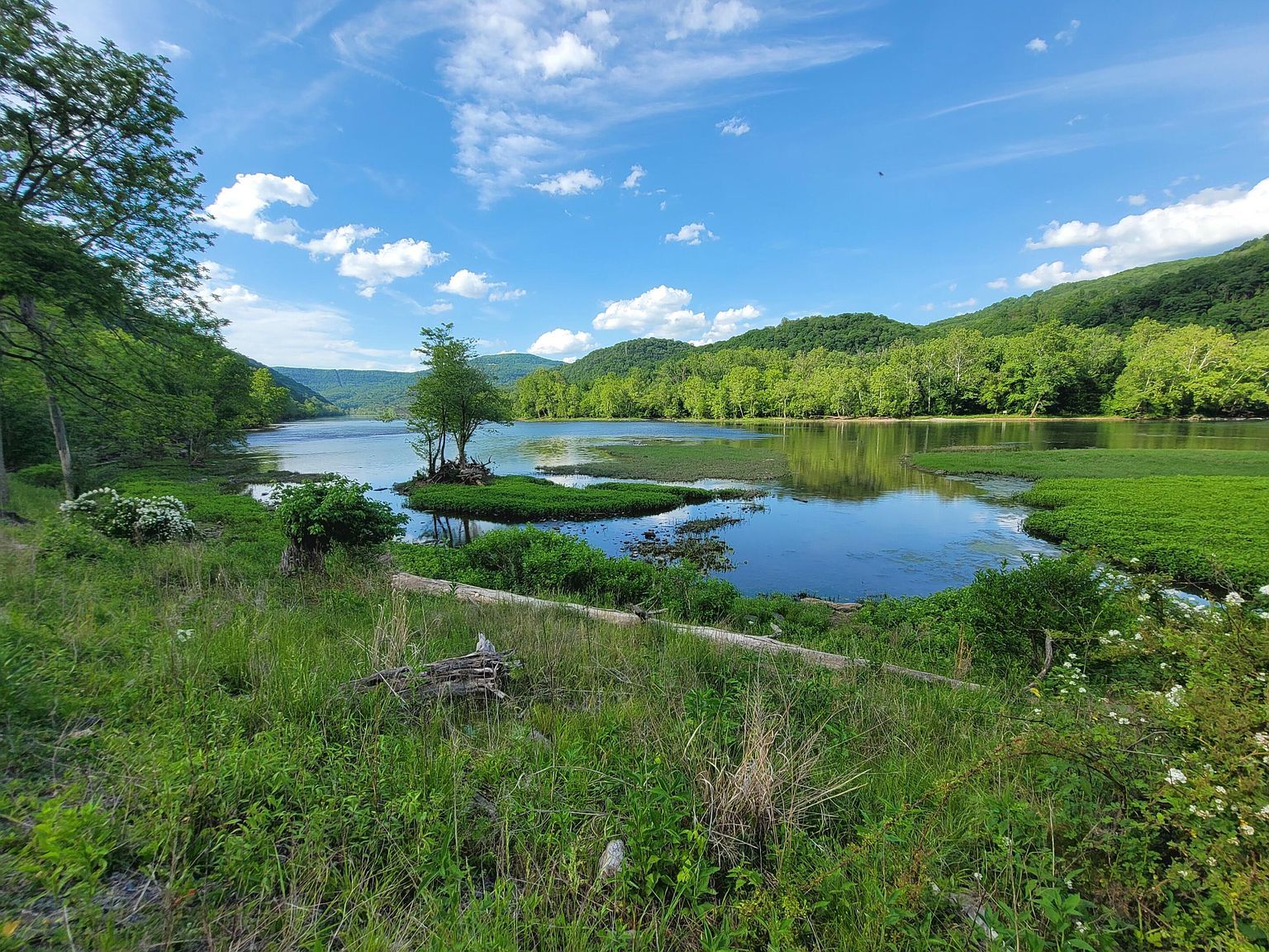 1353 New River Rd Hinton, WV 25951 - Thumbnail 4