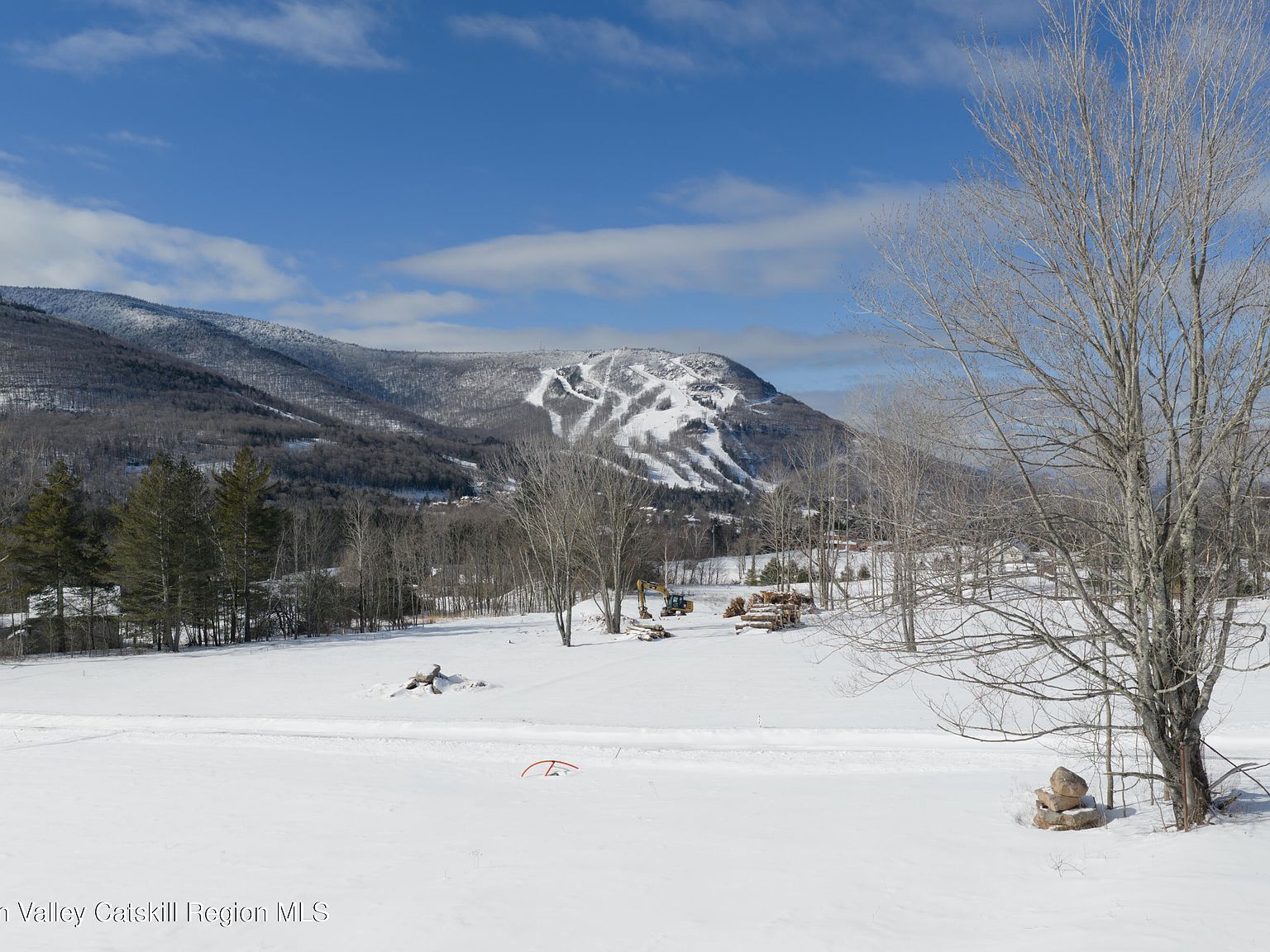 3 Ruth Ct Hunter, NY 12442 - Thumbnail 4