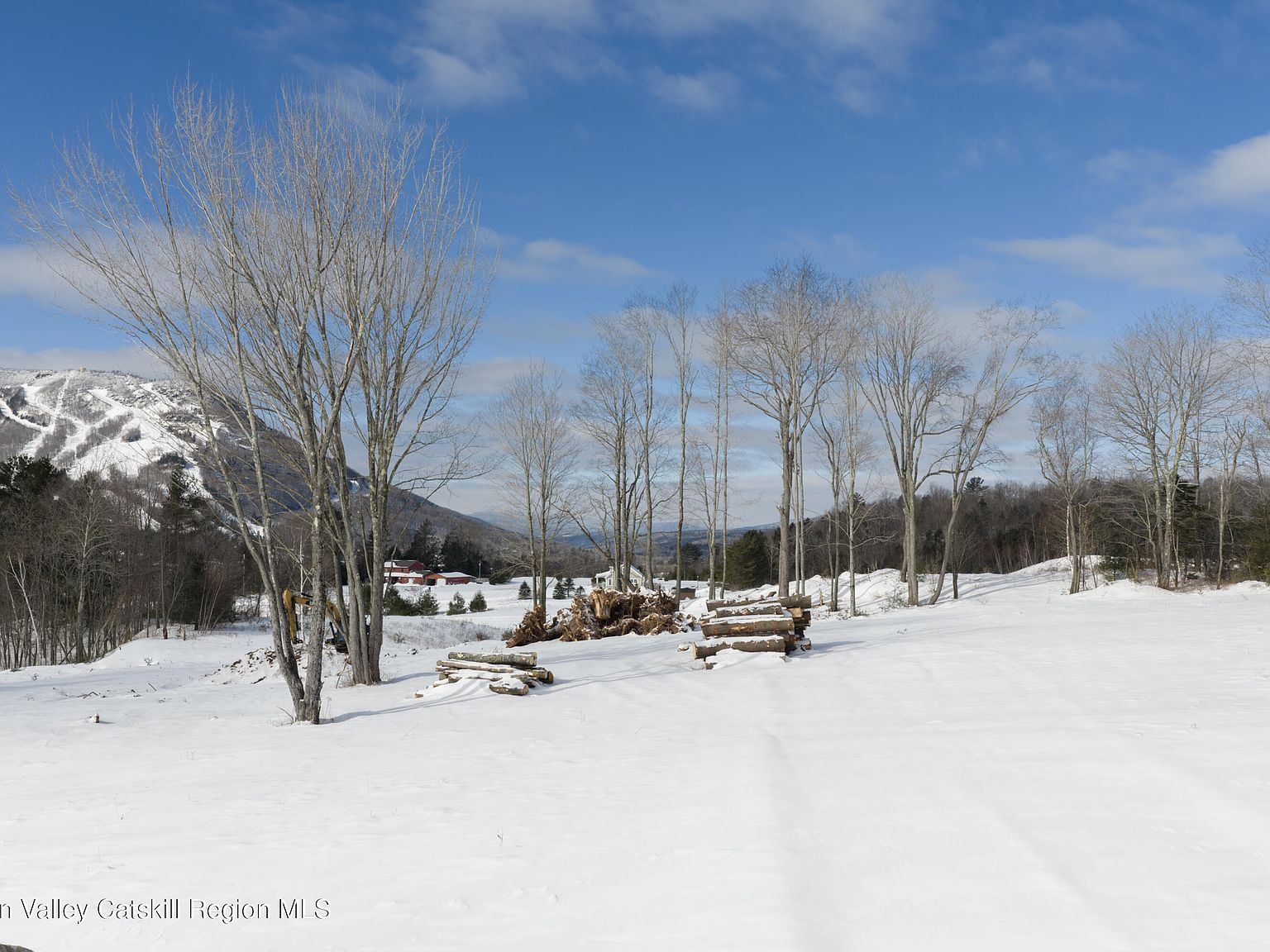 2 Ruth Ct Hunter, NY 12442 - Thumbnail 4