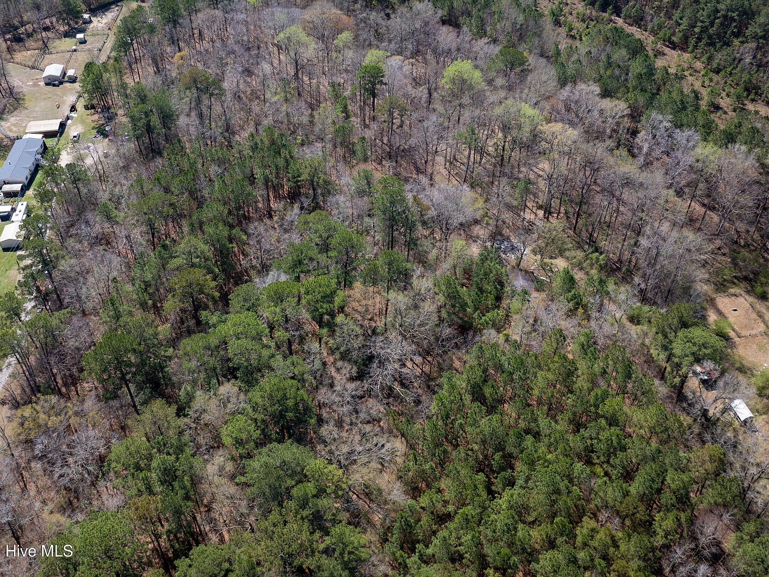 3119 Burgaw Hwy Jacksonville, NC 28540 - Thumbnail 4