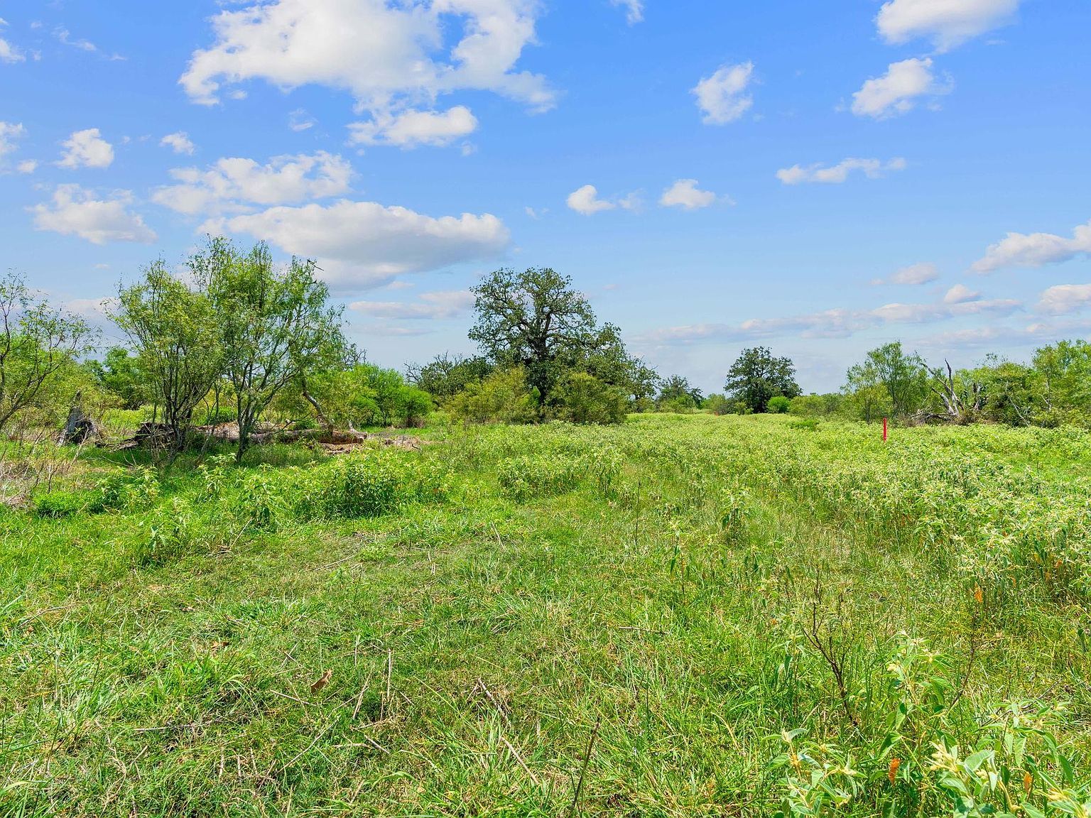 21 County Road 402 Flatonia, TX 78941 - Thumbnail 4