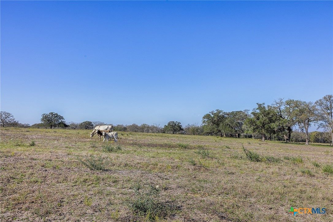 TRACT Fm 795 #J Gonzales, TX 78629 - Thumbnail 4