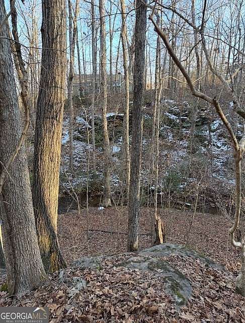 5255 Red Hawk Dr Gainesville, GA 30507 - Thumbnail 4