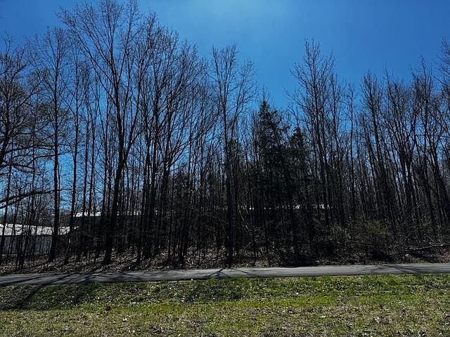 5 Six Lbl Gtwy Cadiz, KY 42211 - Thumbnail 4