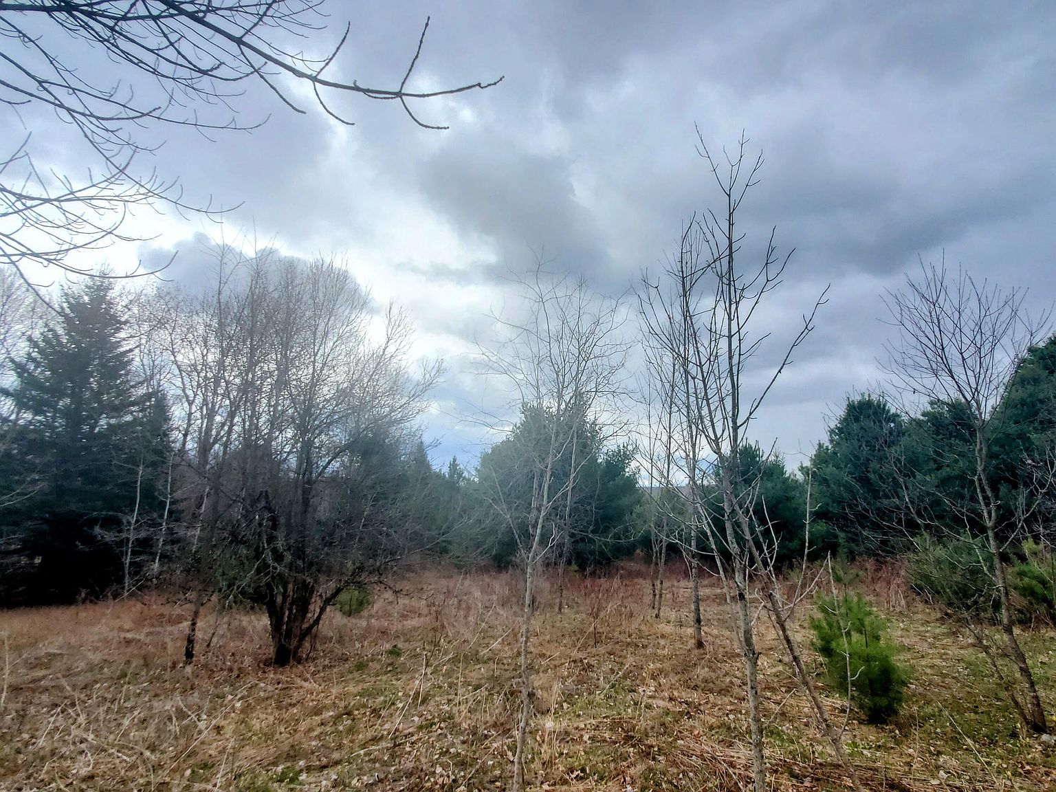 5 Dexter Rd Cambridge, ME 04923 - Thumbnail 4