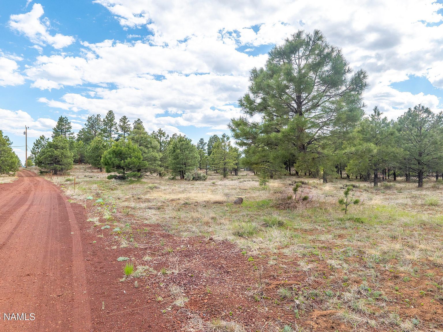 100 S Hot Rod Aly Parks, AZ 86018 - Thumbnail 4