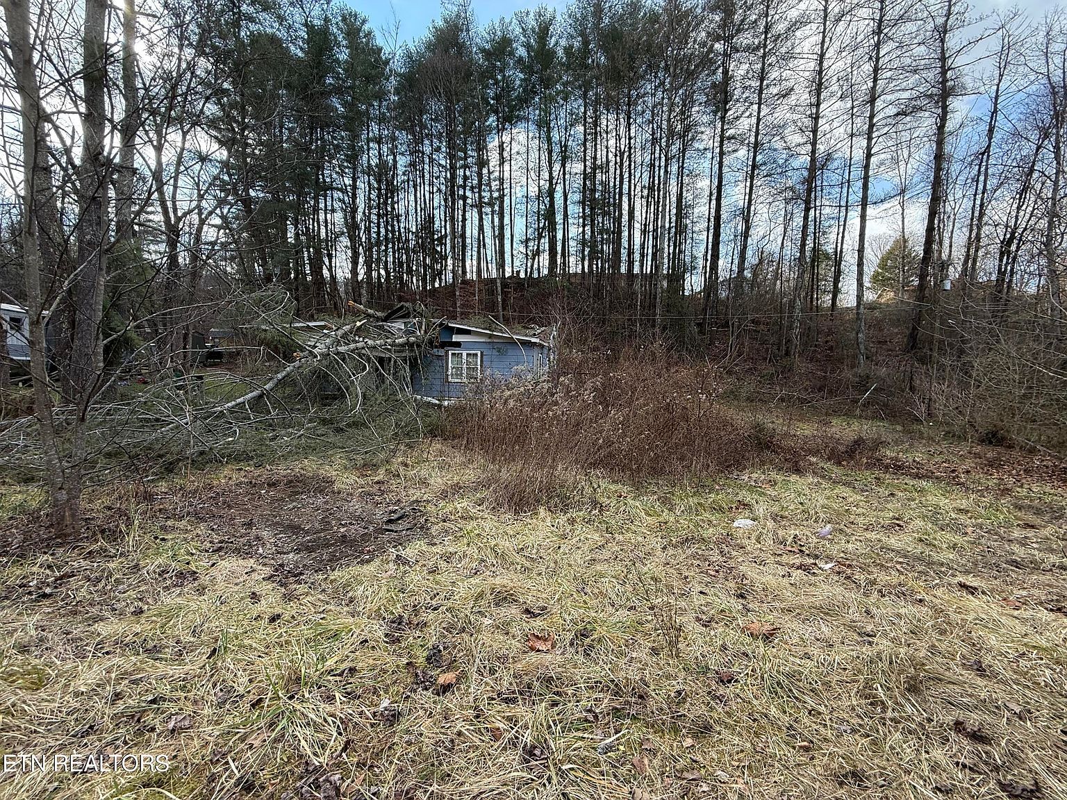 2143 Carter St Big Stone Gap, VA 24219 - Thumbnail 4