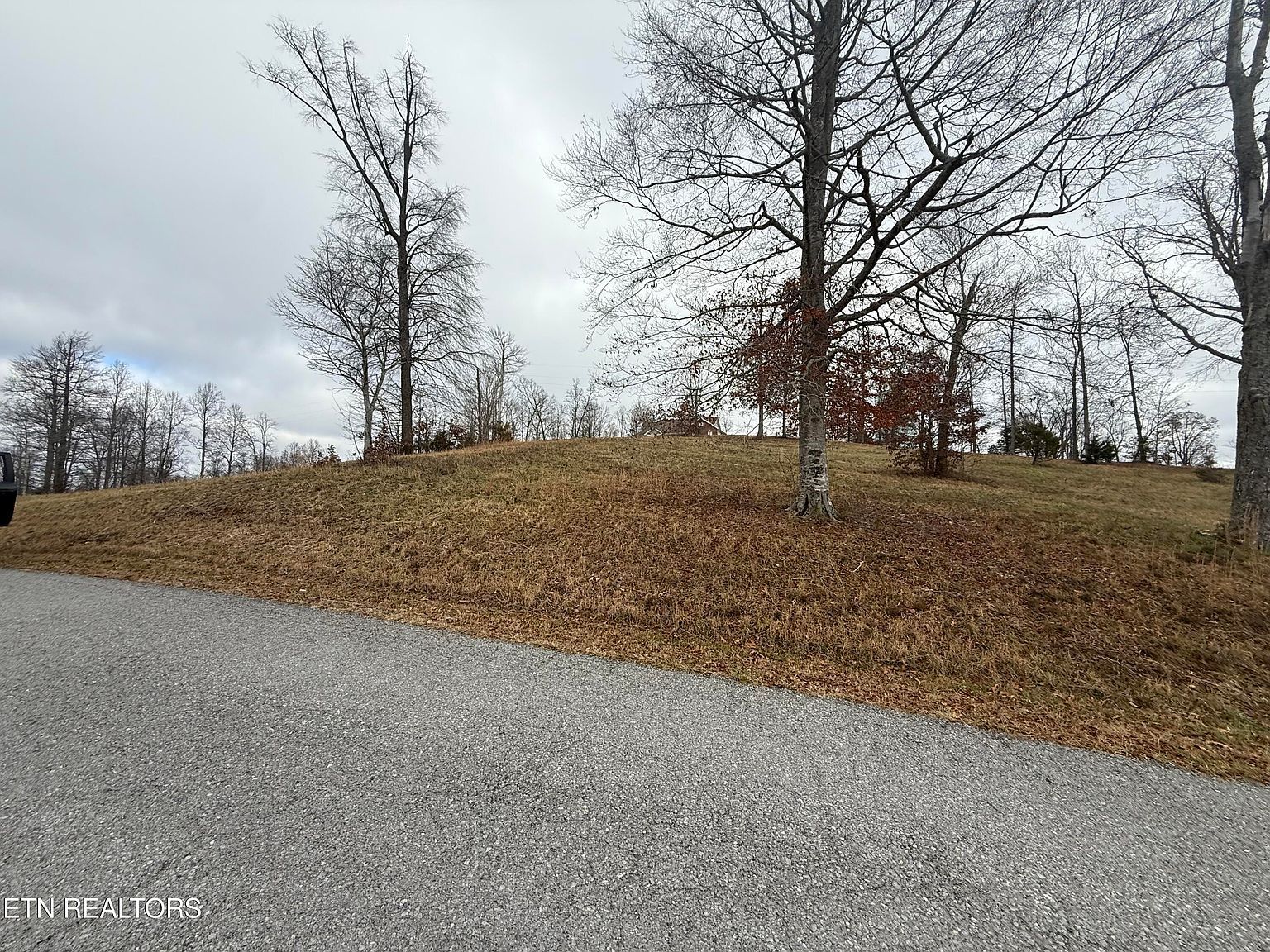 LOT 30 Oak Point Dr Jonesville, VA 24263 - Thumbnail 4