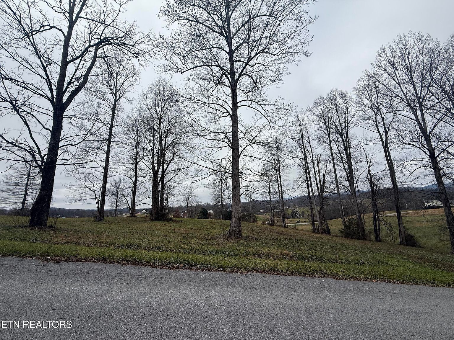 LOT 23 Oak Point Dr Jonesville, VA 24263 - Thumbnail 4