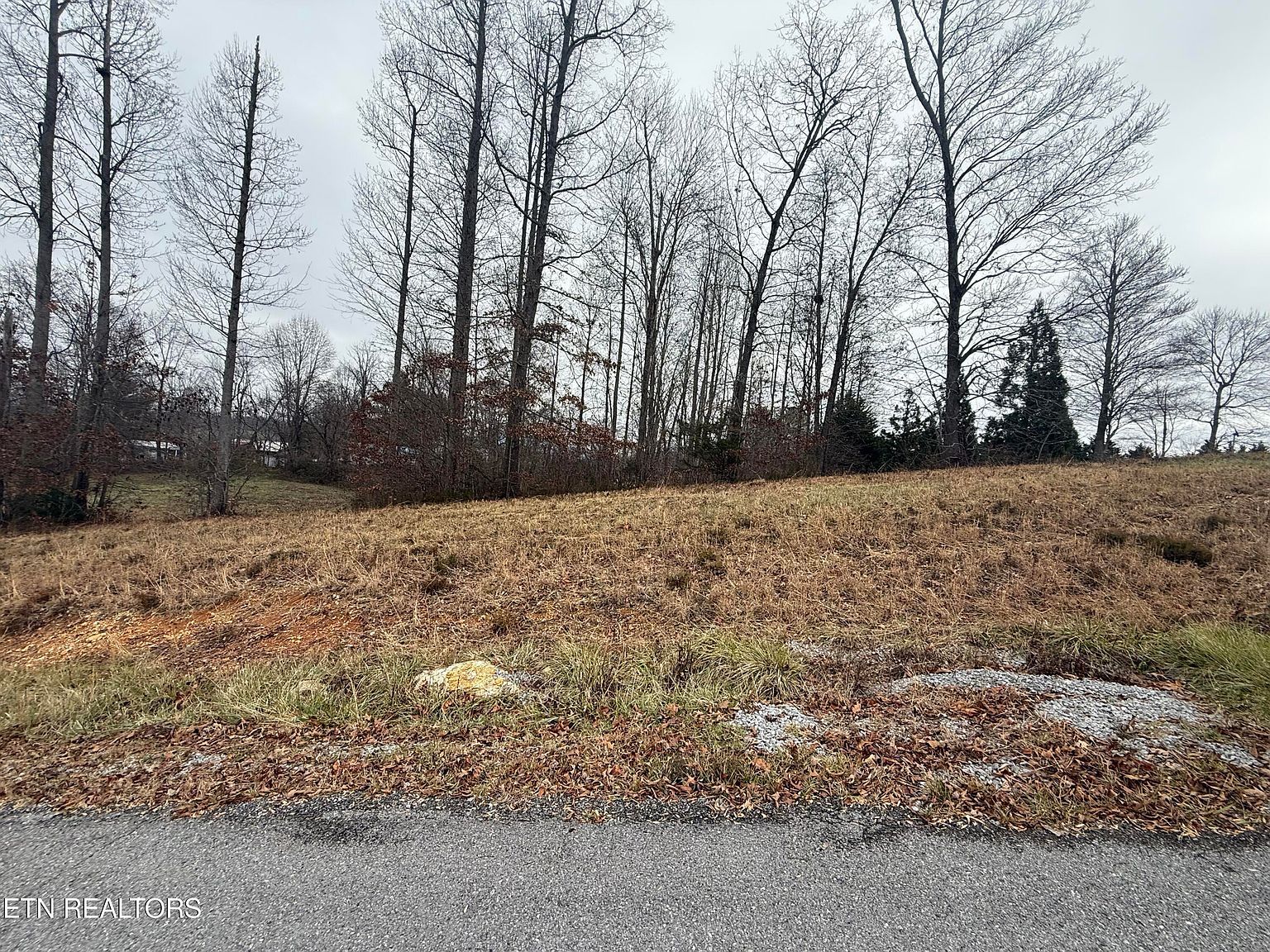 LOT 6 Oak Point Dr Jonesville, VA 24263 - Thumbnail 4