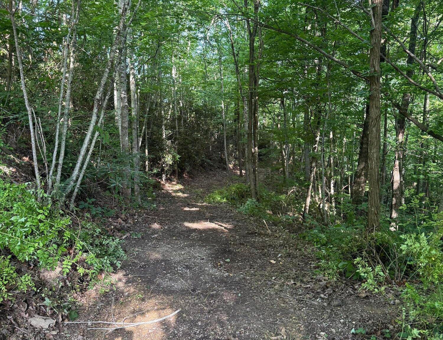 Wallens Ridge Rd Big Stone Gap, VA 24219 - Thumbnail 4