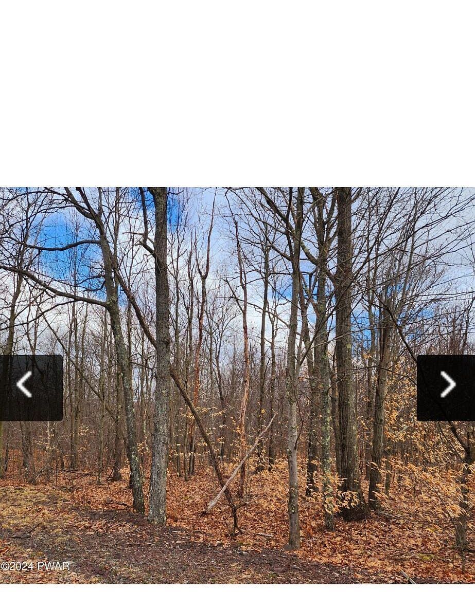 193 Highland Rd Roaring Brook, PA 18444 - Thumbnail 4