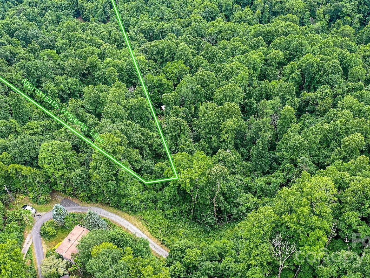 99999 Secluded Valley Rd Marshall, NC 28753 - Thumbnail 4