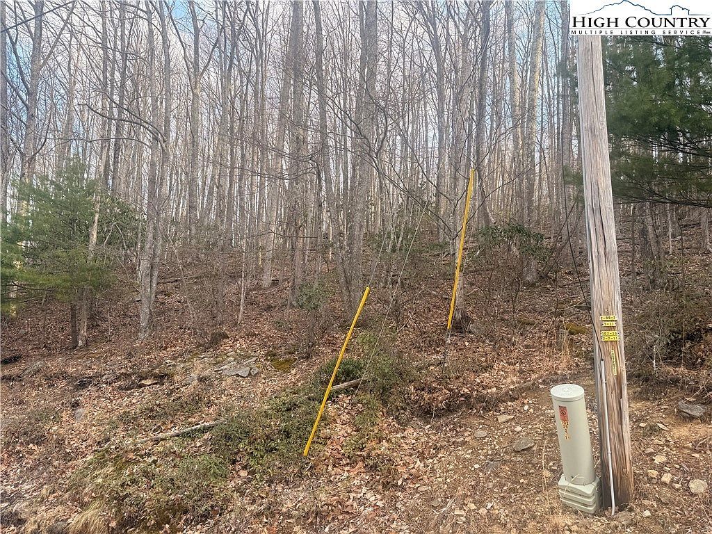 212 Jackpine Rd Banner Elk, NC 28604 - Thumbnail 4