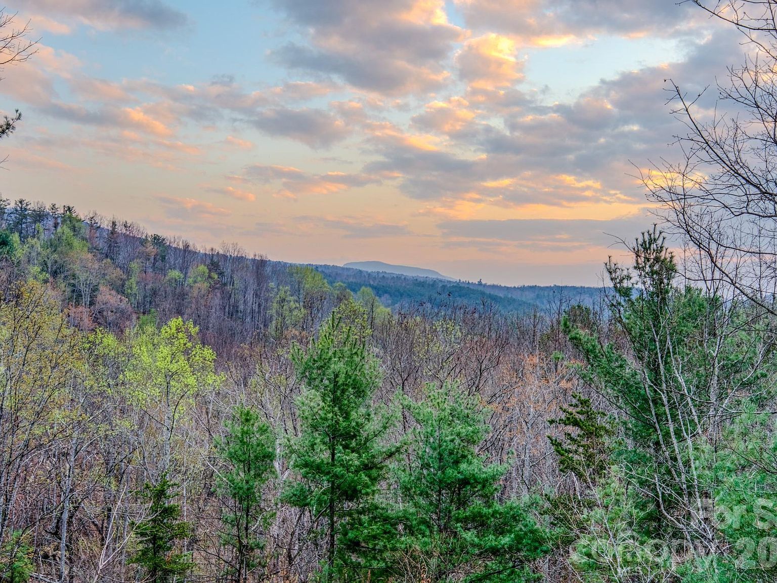 9147 Shortoff View Ter Nebo, NC 28761 - Thumbnail 4