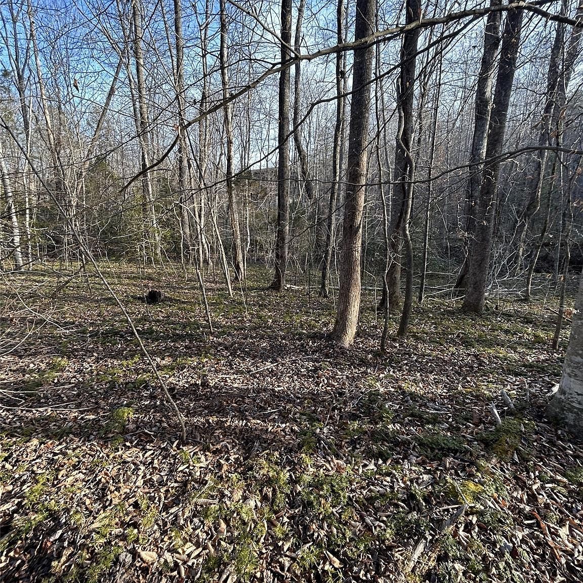 24 Double Eagle Dr Nebo, NC 28761 - Thumbnail 4