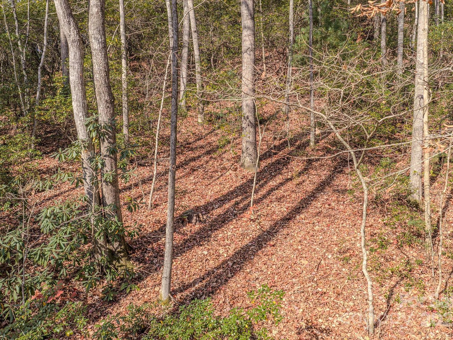 44 Alfalfa Trl Fairview, NC 28730 - Thumbnail 4