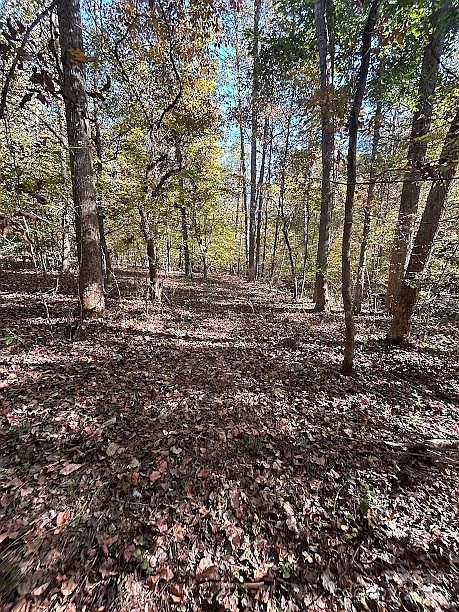 Cross Creek Dr #140 Rutherfordton, NC 28139 - Thumbnail 4