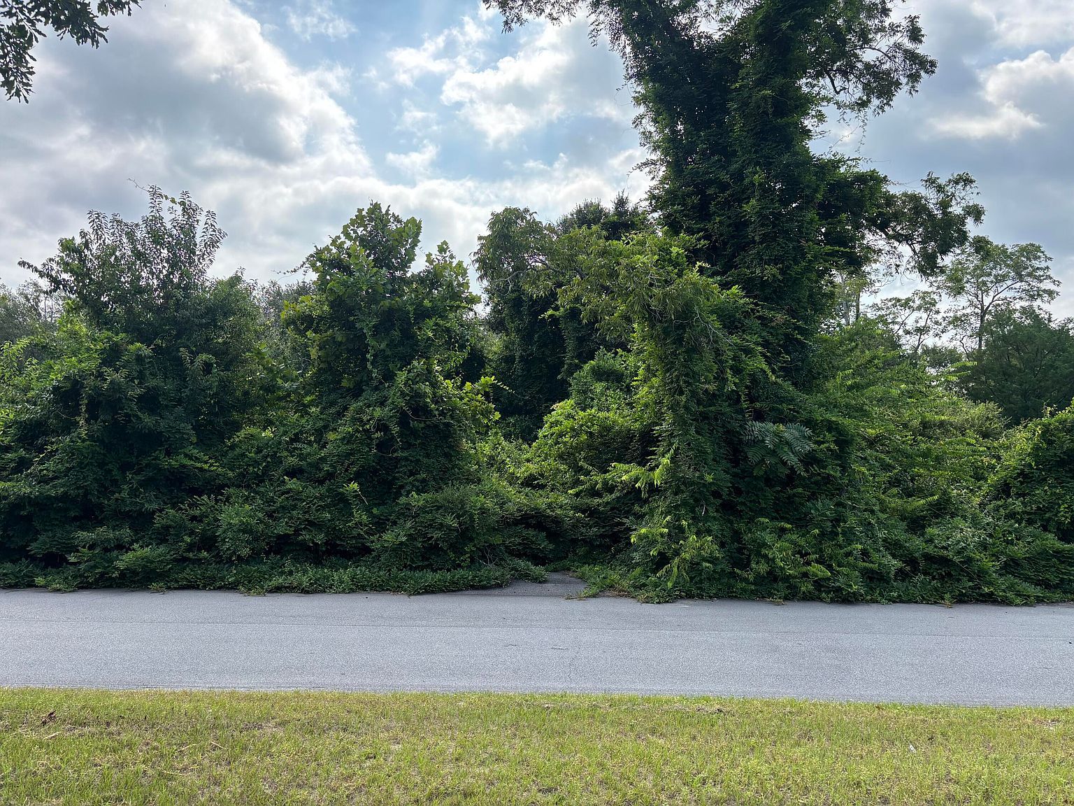 414 Greenville St NW Aiken, SC 29801 - Thumbnail 4