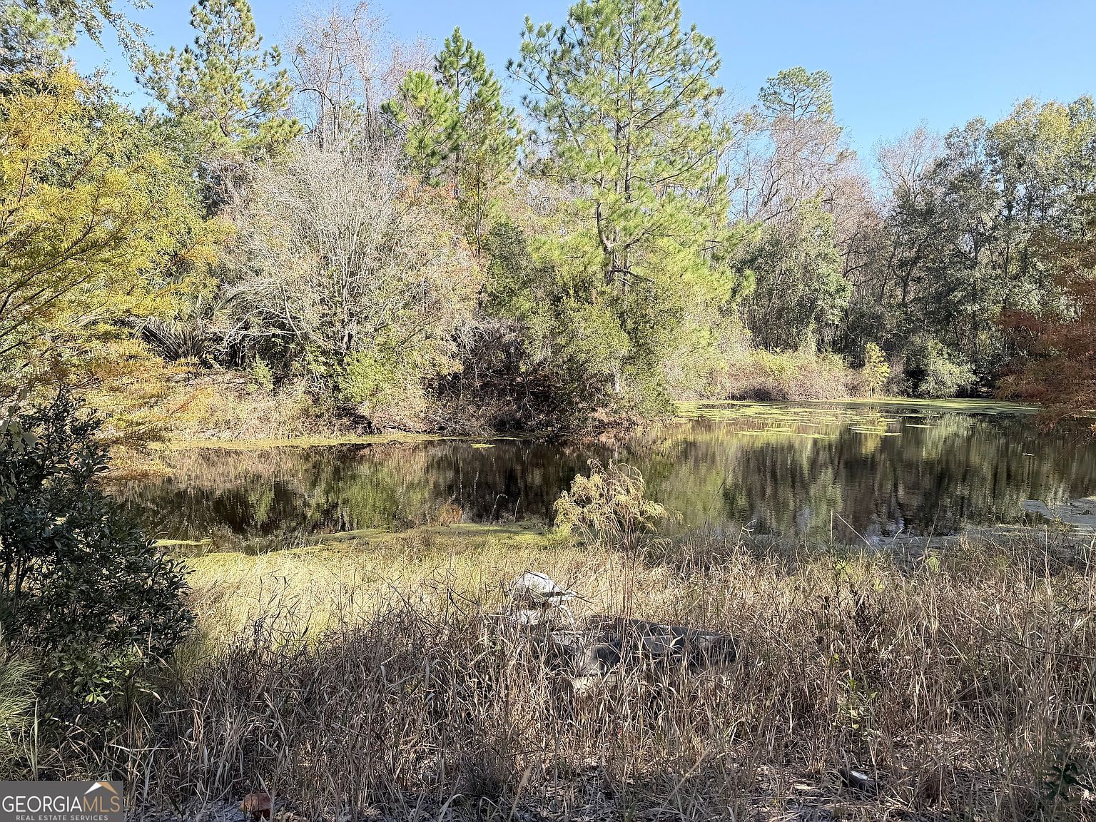 7438 Central Ave Waycross, GA 31503 - Thumbnail 4