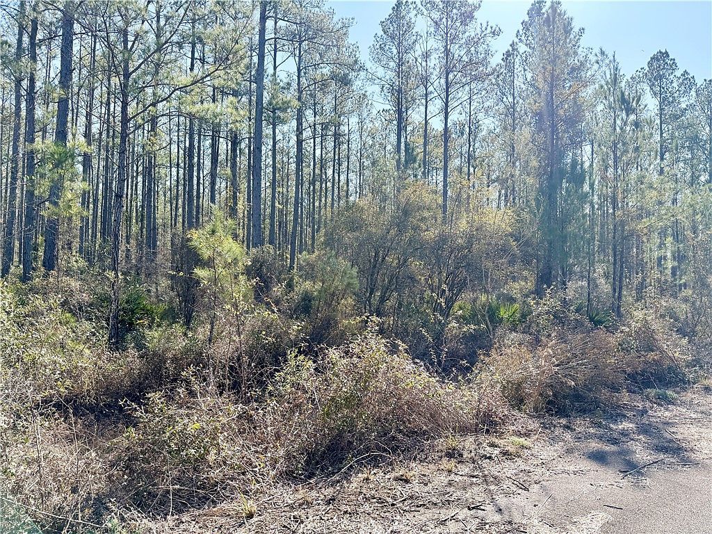 18 Satilla Plantation Waynesville, GA 31566 - Thumbnail 4