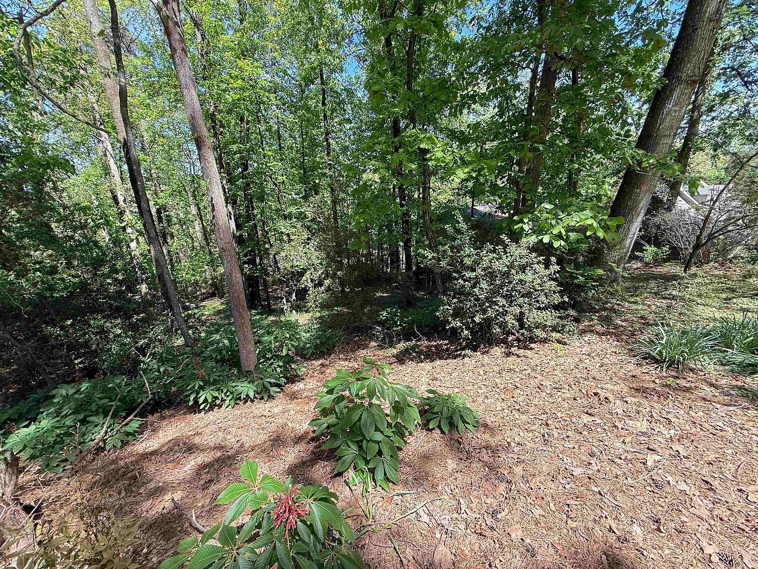 0 Foxhunt Trl Little Rock, AR 72227 - Thumbnail 4