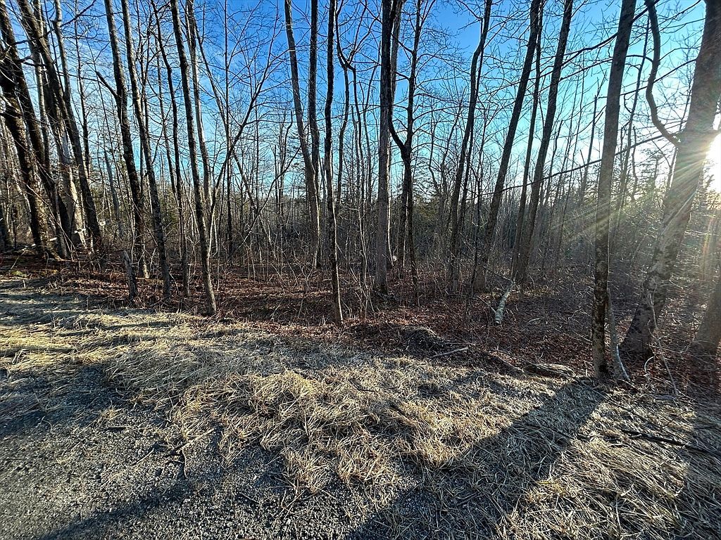 0 Old Abbey Ln W Becket, MA 01223 - Thumbnail 4