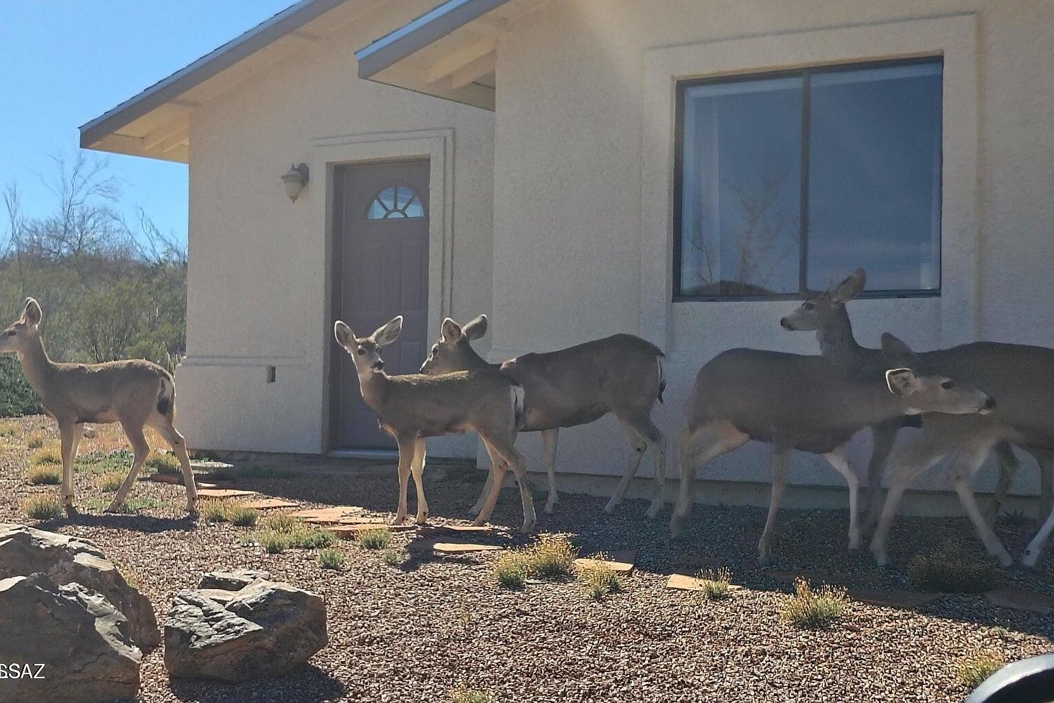 127 N Gila Dr Tombstone, AZ 85638 - Thumbnail 4