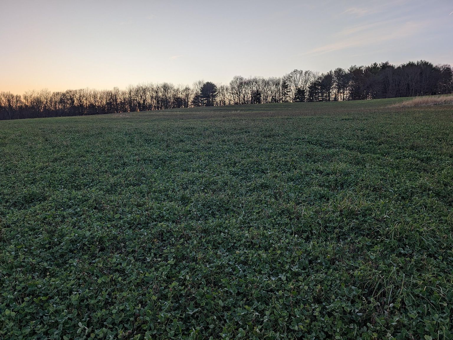 0 Township Road 80 Warsaw, OH 43844 - Thumbnail 4