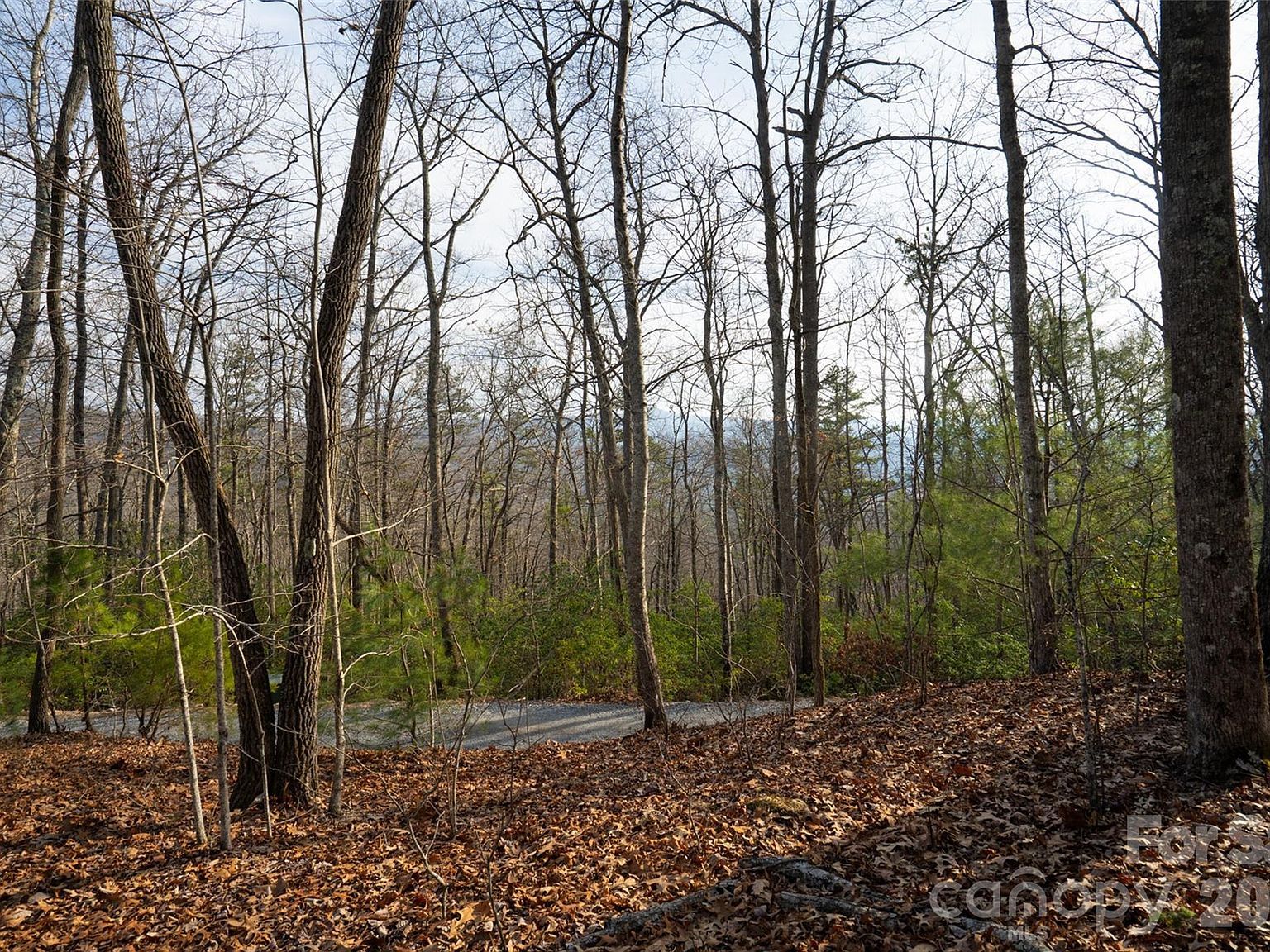 29 Open Ridge Trl Pisgah Forest, NC 28768 - Thumbnail 4