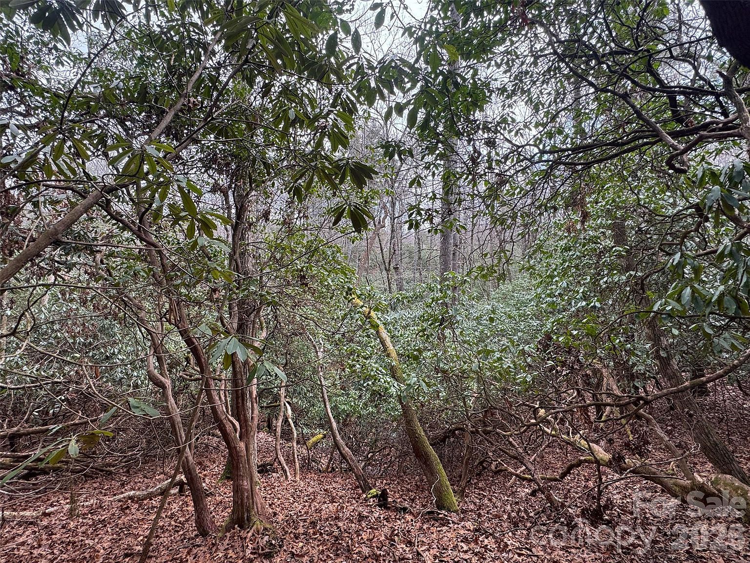 0 Falls Creek Ct Pisgah Forest, NC 28768 - Thumbnail 4