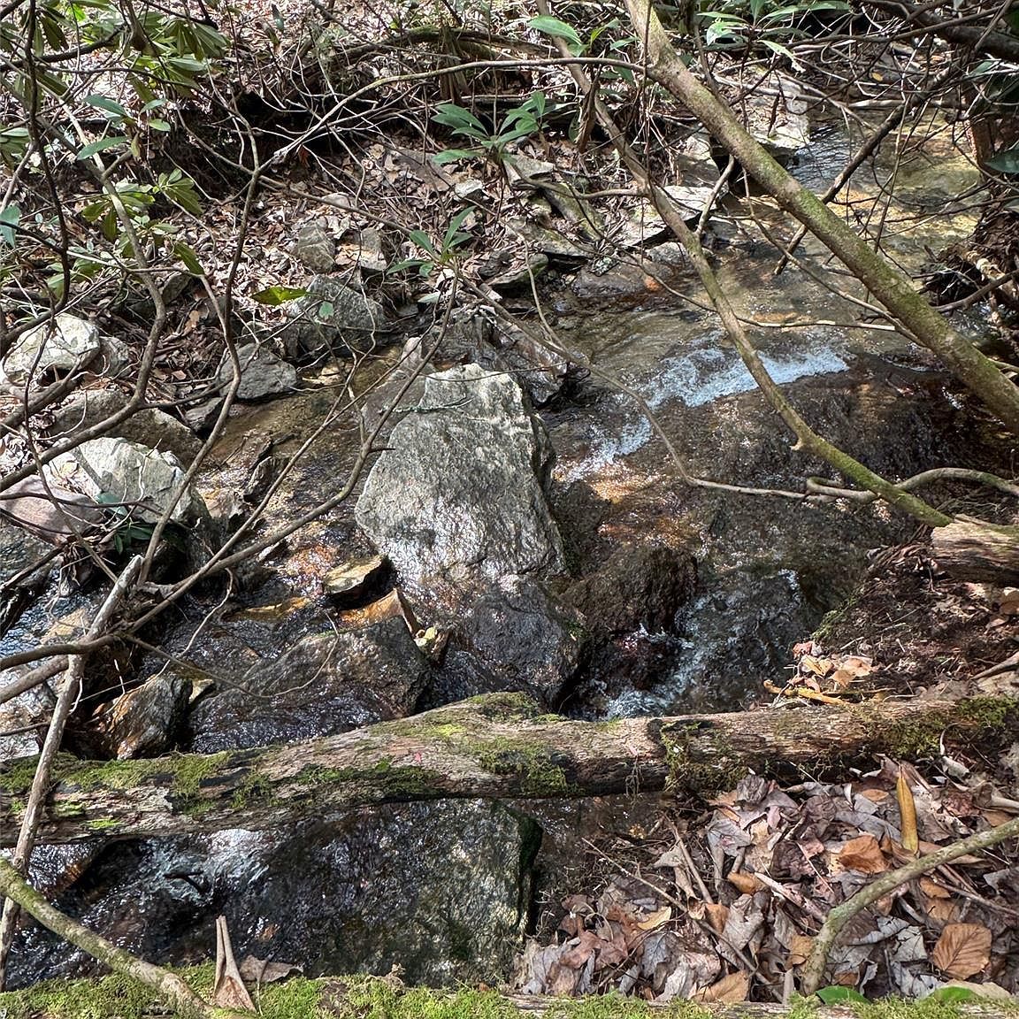 TRACT A Cherrywood Ln Pisgah Forest, NC 28768 - Thumbnail 4