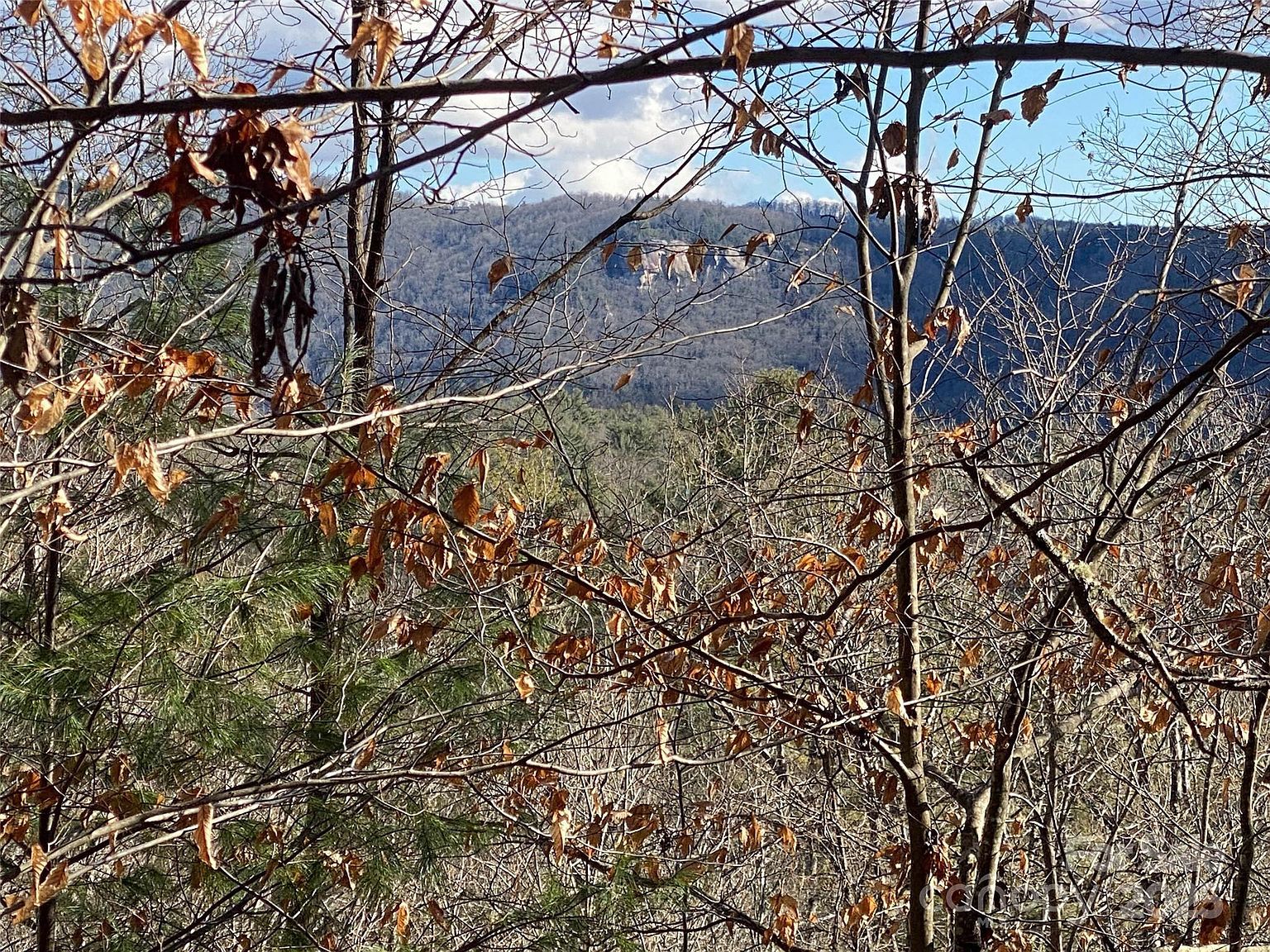 999 High Point Trl Brevard, NC 28712 - Thumbnail 4