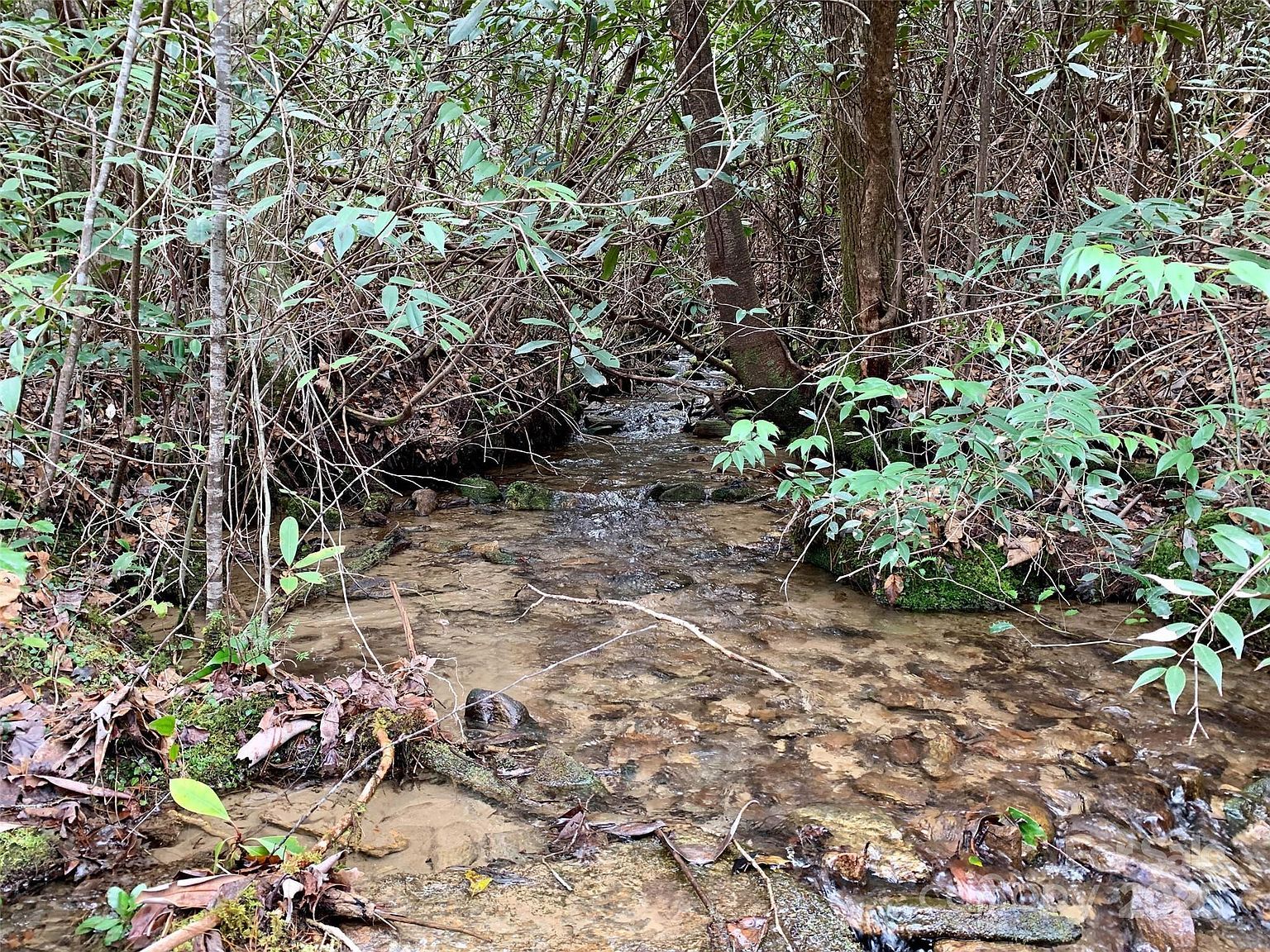 LOT 64 Peppervine Cir Rosman, NC 28772 - Thumbnail 4