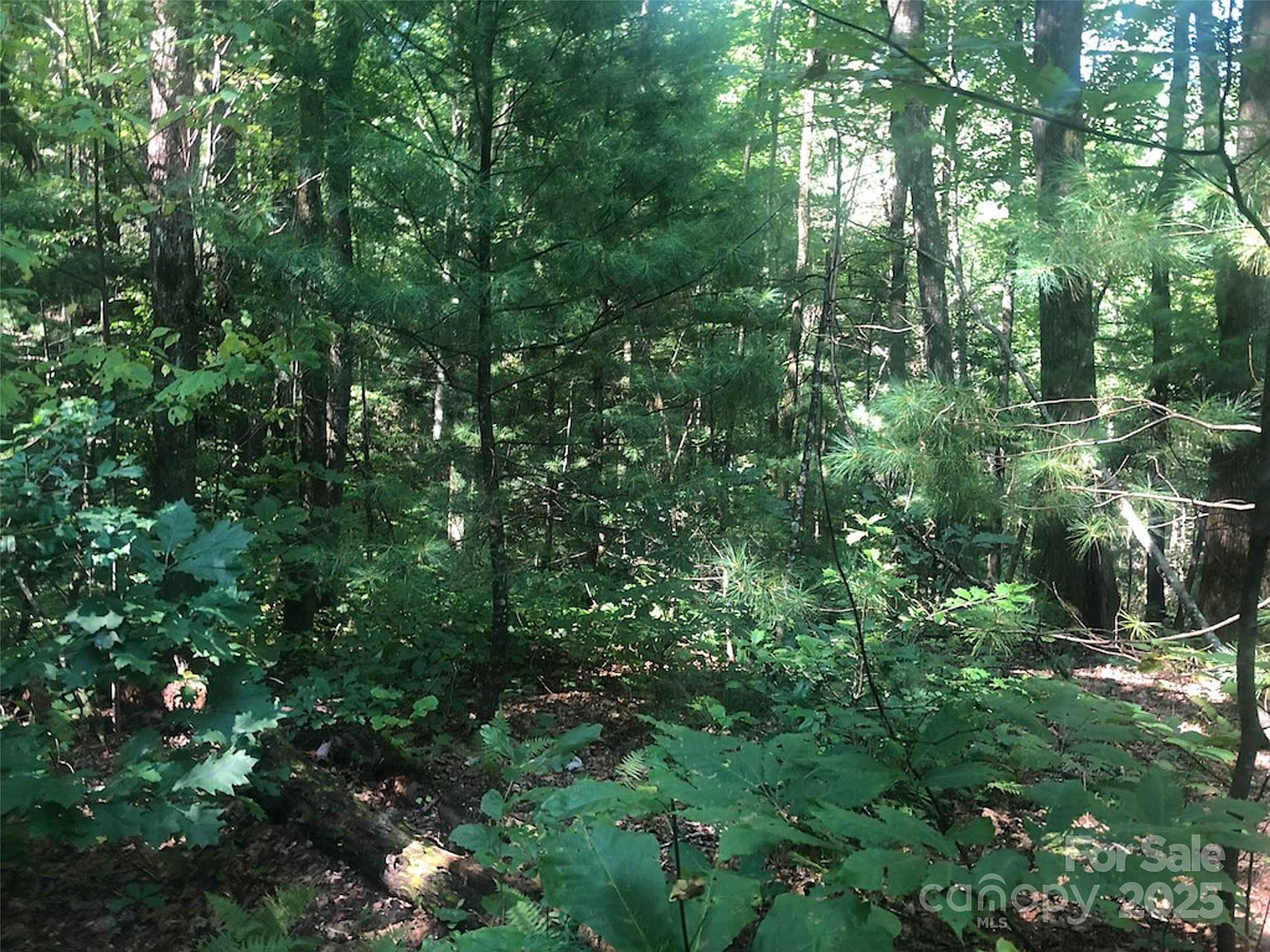 Peppervine Cir #94 Rosman, NC 28772 - Thumbnail 4